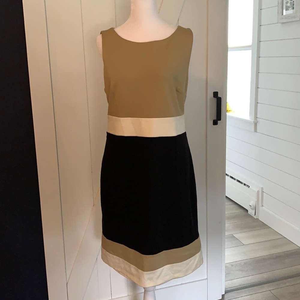 Vince Camuto color-block dress-So flattering! Size 12 fits like 10